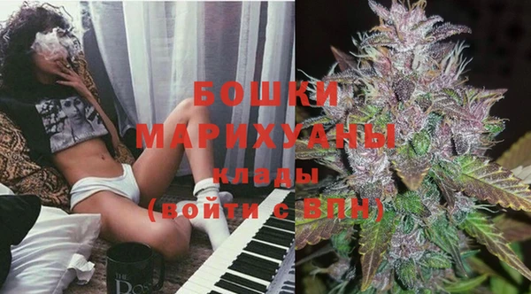 хмурый Каменка