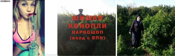 хмурый Каменск-Шахтинский