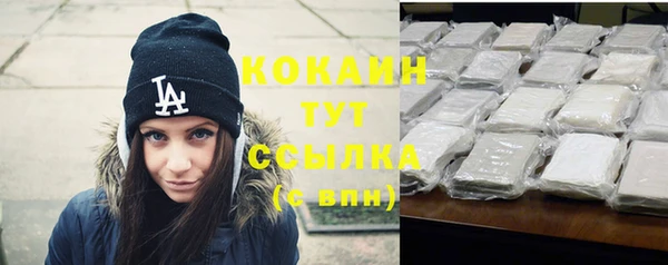 хмурый Каменка