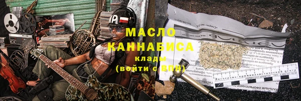 хмурый Каменка