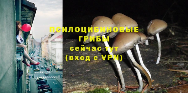хмурый Каменка