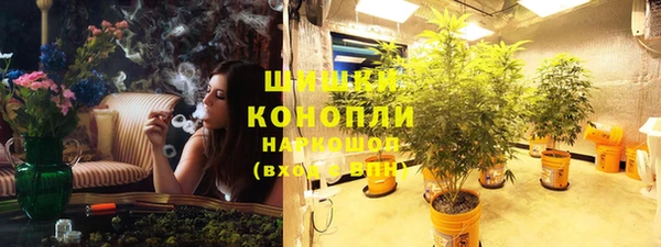 хмурый Каменка