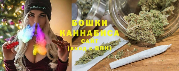 хмурый Каменка