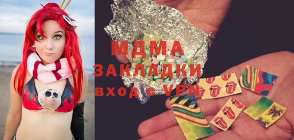 хмурый Каменка
