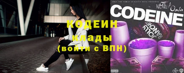 хмурый Каменка
