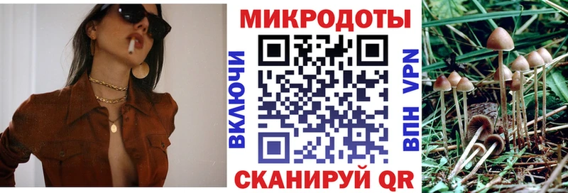 Купить где  Гаджиево  Псилоцибиновые грибы прущие грибы 